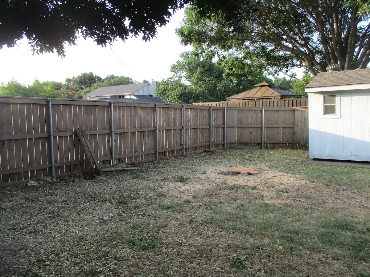 Cleared yard after professional tree removal in Calvin